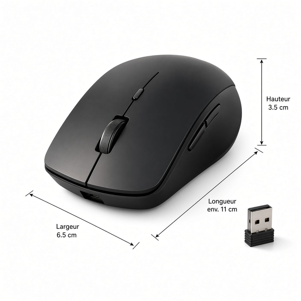 Souris Sans Fil Ergonomique avec Récepteur USB – Design Élégant et Précis